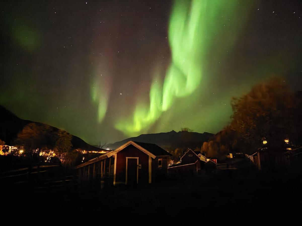 Koselig Dyregard I Tromso Hotel Exterior photo